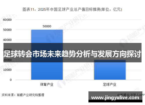 足球转会市场未来趋势分析与发展方向探讨